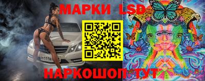 молекула духа Пугачёв