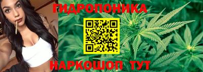 мяу мяу мука Пушкино