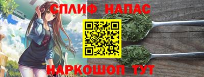 молекула духа Пугачёв