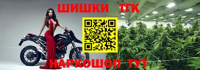 молекула духа Пугачёв