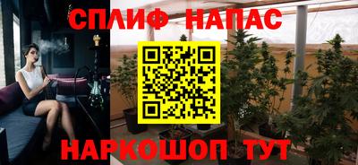 молекула духа Пугачёв