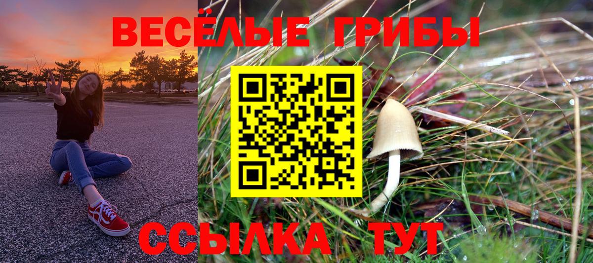Псилоцибиновые грибы Magic Shrooms  Псилоцибиновые грибы мухоморы  Торжок  Вход с VPN 