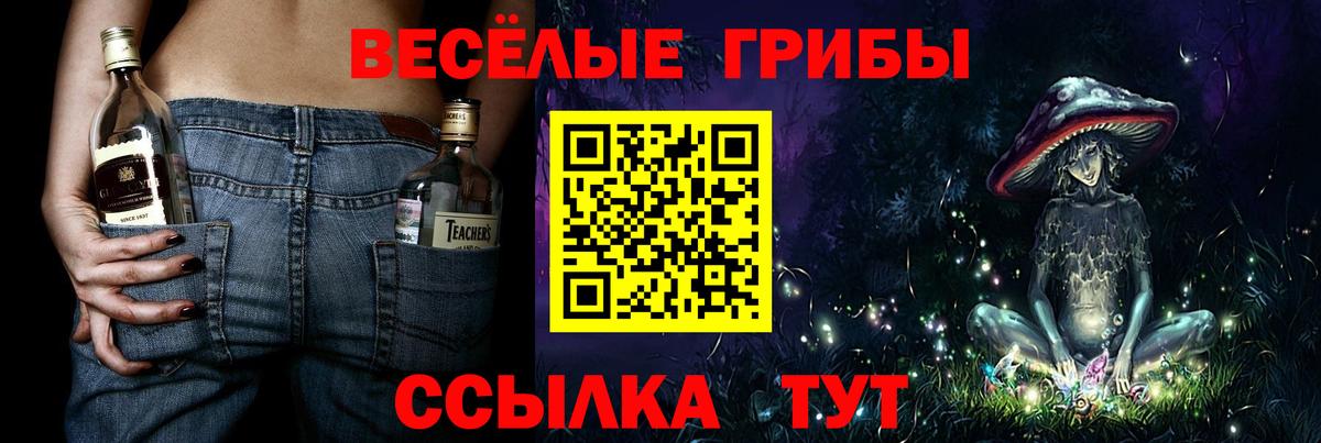 Галлюциногенные грибы Magic Shrooms Торжок